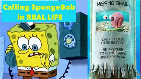 what's spongebob's phone number|spongebob phone number real.
